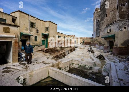 Tenetia, Medina de Tetuán, Patrimonio de la humanidad, Marruecos, Norte de Afrika, continente Africano. Stockfoto