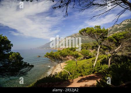 playa de Son Bunyola, Banyalbufar. Parque natural de la Sierra de Tramuntana. Mallorca. Die Balearen. Spanien. Stockfoto