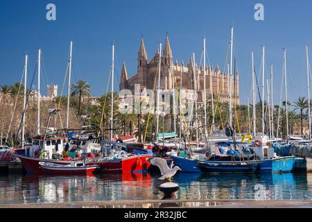 Kathedrale von Palma von Moll de la Riba, Palma, mallorca, balearen, spanien, europa. Stockfoto