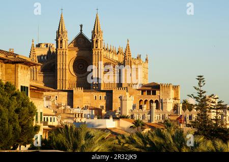 Catedral de Mallorca desde La Terraza d'Es Baluard (Museu d'Art Modern i Contemporani de Palma). Palma. Mallorca Islas Baleares. España. Stockfoto