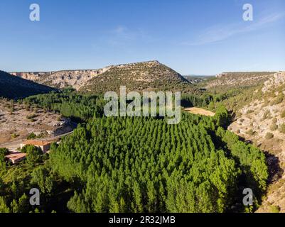 Castillo de Ucero, perteneció a la Orden del Tempel, Siglos XIII y XIV, Soria, Comunidad Autónoma de Castilla, Spanien, Europa. Stockfoto