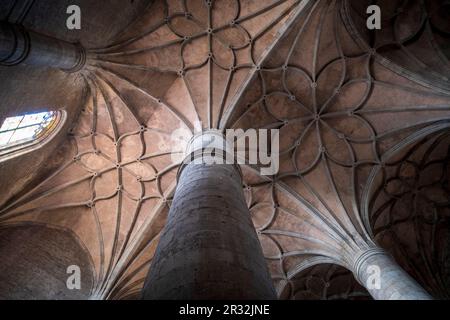 Colegiata de Santa María del Mercado, Gótico - renacentista, construída Entre 1526-1530, por el arquitecto Juan de Rasines, Berlanga de Duero, Soria, Comunidad Autónoma de Castilla y León, Spanien, Europa. Stockfoto