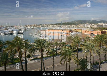 Puerto de Palma desde La Terraza de La Lonja. La Llotja, siglo XV Palma. Mallorca Islas Baleares. España. Stockfoto