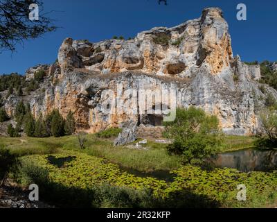 Zona de reserva Castillo Billido, Parque Natural del Cañón del Río Lobos, Soria, Comunidad Autónoma de Castilla, Spanien, Europa. Stockfoto