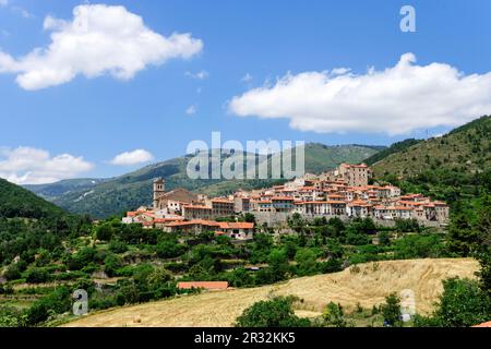 Mosset, declarado uno de los pueblos Mas bonitos de francia, Conflent, Roussillon, pirineos orientales, Francia, europa. Stockfoto