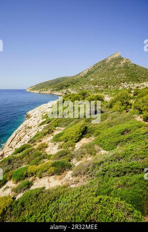 Sa Miranda. Parque natural de Sa Dragonera. Isla Dragonera. Sierra de Tramuntana. Mallorca. Die Balearen. Spanien. Stockfoto