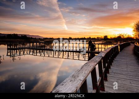 Pasarelas al Amanecer, Parque Nacional Tablas de Daimiel, Ciudad Real, Kastilien-La Mancha, Spanien, Europa. Stockfoto