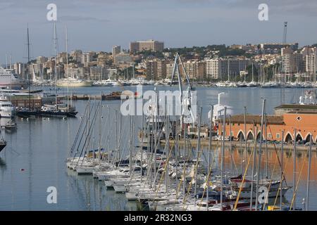 Puerto de Palma desde La Terraza de La Lonja. La Llotja, siglo XV Palma. Mallorca Islas Baleares. España. Stockfoto