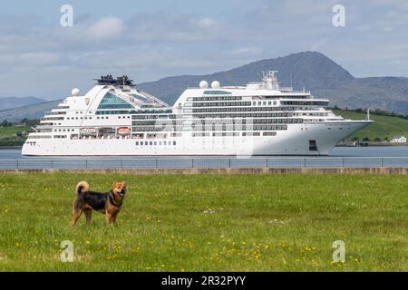 Bantry, West Cork, Irland. 22. Mai 2023. Der erste luxuriöse Kreuzfahrtschiff des Jahres, „Seabourn Ovation“, kam heute Morgen in Bantry Inner Harbour an, mit 600 Passagieren. Sie segelt heute Abend um 5pm Uhr. Kredit: AGNews/Alamy Live News. Stockfoto