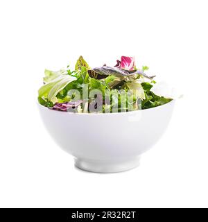 Grüner Salat Stockfoto