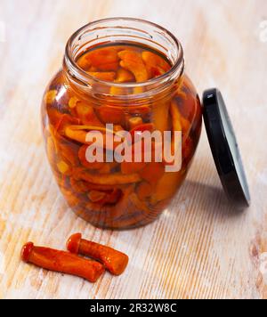 Marinierte Honigpilze in einem Glasgefäß Stockfoto