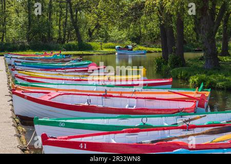 Bunte Ruderboote auf der Meare im Thorpeness in East Suffolk an einem sonnigen Nachmittag im Mai Stockfoto