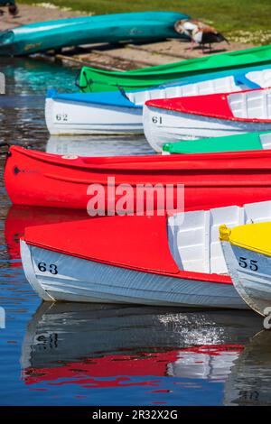 Bunte Ruderboote auf der Meare im Thorpeness in East Suffolk an einem sonnigen Nachmittag im Mai Stockfoto