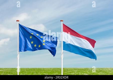 Die Flaggen der Europäischen Union und der Niederlande vor einer Wiese mit blühenden Blumen und blauem Himmel Stockfoto