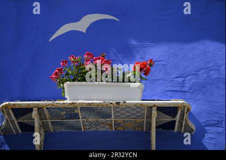 Handgefertigte Keramikfliesen mit Geraniumblütentopf an einer kobaltblauen Wand in Borgo dei Parrini Sizilien, Italien. Stockfoto