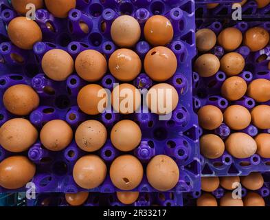 Eier enthalten mehrere Proteine. Die am häufigsten verwendeten Vogeleier beim Kochen sind Hühnchen und Ente. Eier liefern mehrere Vitamine. Stockfoto