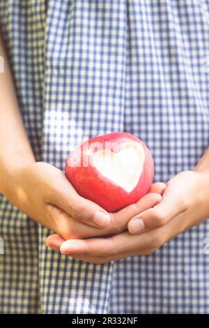 Roter Apfel mit Herzform Stockfoto