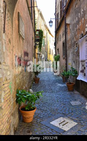 Tivoli (Italien) - ein Besuch in der historischen und künstlerischen Stadt in der Provinz Rom, Latium. Hier vor allem mit dem Park Villa Gregoriana. Stockfoto