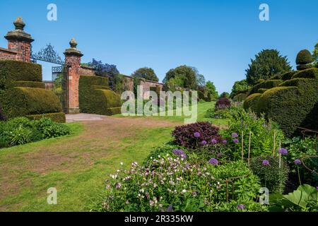 Die berühmten krautigen Grenzen an den Arley Hall Gardens in der Nähe von Knutsford in Cheshire. Stockfoto