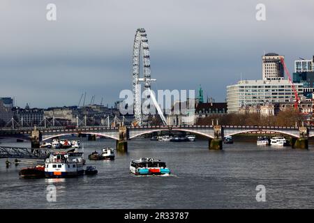 Jupiter Clipper River Bus auf der Themse nähert sich der Lambeth Bridge, London Eye / Millennium Wheel im Hintergrund, London, Großbritannien Stockfoto