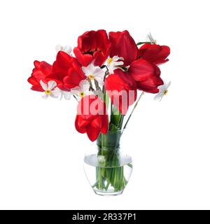 Rote Tulpen und weiße Narzissen in Vase Stockfoto