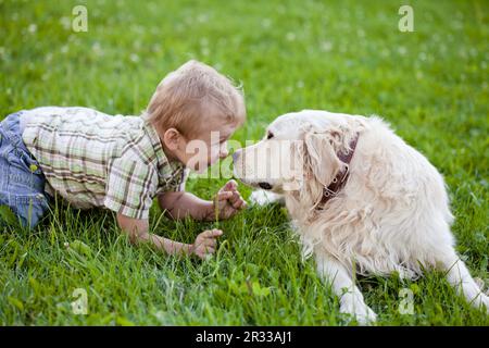 Ein Junge mit Retriever draußen Stockfoto