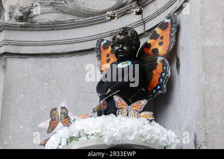 Brüssel, Belgien. 22. Mai 2023. Der Manneken-Pis ist in einem Schmetterlingskostüm in Brüssel, Belgien, am 22. Mai 2023 zu sehen. Belgiens berühmte Statue Manneken-Pis wurde montags mit einem Schmetterlingskostüm dekoriert, um den Internationalen Tag der biologischen Vielfalt zu feiern. Kredit: Zheng Huansong/Xinhua/Alamy Live News Stockfoto