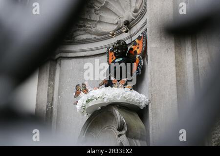 Brüssel, Belgien. 22. Mai 2023. Der Manneken-Pis ist in einem Schmetterlingskostüm in Brüssel, Belgien, am 22. Mai 2023 zu sehen. Belgiens berühmte Statue Manneken-Pis wurde montags mit einem Schmetterlingskostüm dekoriert, um den Internationalen Tag der biologischen Vielfalt zu feiern. Kredit: Zheng Huansong/Xinhua/Alamy Live News Stockfoto