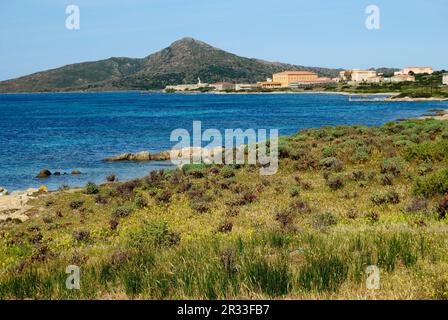 Blick auf Cala reale auf der Insel Asinara Stockfoto