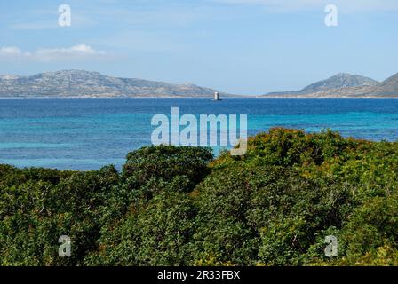 Der Leuchtturm von Cala reale auf der Insel Asianra Stockfoto