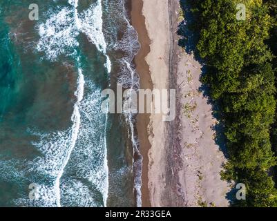 Blick aus der Vogelperspektive auf Tortuguero Village, Costa Rica Stockfoto