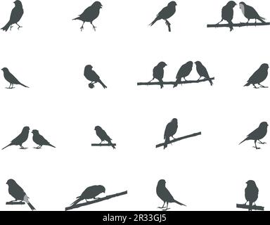 Kanarienvogel-Silhouette, Vogel-Silhouetten, Kanarienvektor, Kanarienvektor Stock Vektor