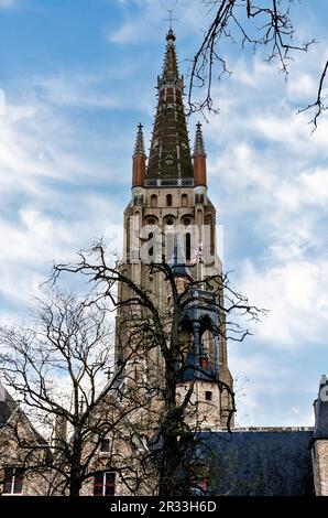 Vertikaler Schuss, brügge, belgien, Blick auf den Turm der Kirche unserer Dame Stockfoto