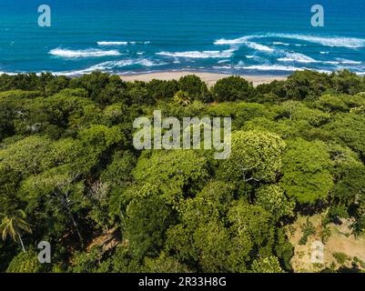 Blick aus der Vogelperspektive auf Tortuguero Village, Costa Rica Stockfoto