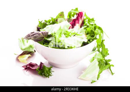 Grüner Salat Stockfoto