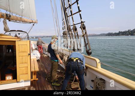 Segeln in der Bucht von San Francisco Stockfoto