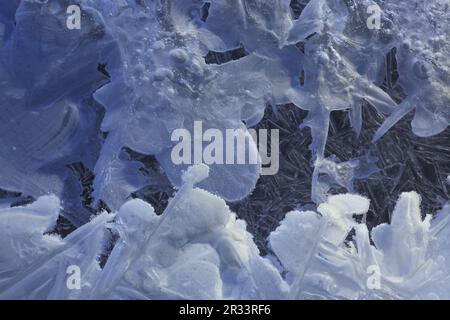 Eiskristalle und -Formen, Brandenberger Ache, Tirol Stockfoto