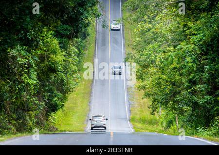 Fahren mit Autos auf einer geraden Straße auf dem Land auf einem Hügel, umgeben von grünen Bäumen im tropischen Regenwald. Stockfoto