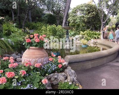 St. Die Martin Gardens in Monaco, die sich hinter dem Ozeanographischen Museum befinden, beherbergen verschiedene mediterrane Pflanzen auf ihren Wegen. Stockfoto