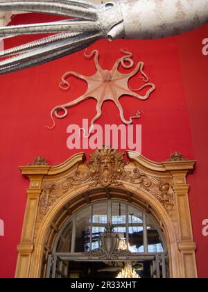 Oktopus und Riesensquid Dekor in einem Raum des Ozeanographischen Museums in Monaco. Stockfoto