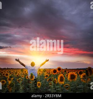 Mann im Sonnenblumen Feld Stockfoto