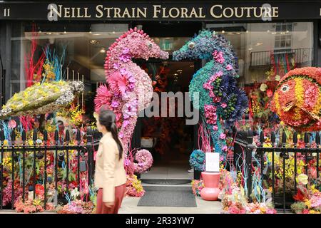 London, Großbritannien. 22. Mai 2023 Neill Strain Floral Couture. Das Festival „Belgravia in Bloom“ findet vom 22. Bis 29. Mai statt. Das Festival kehrt zum achten Mal mit dem Thema „in die Wildnis“ zurück und wird Belgravia mit unglaublichen Blumeninstallationen zum Leben erwecken. Lokale Blumeninstallationen fallen zusammen mit der jährlichen RHS Chelsea Flower Show. Kredit: Waldemar Sikora/Alamy Live News Stockfoto