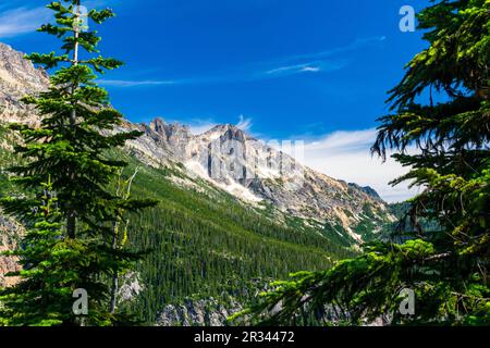 Schöner Nachmittagsblick auf den North Cascades National Park Complex vom Washington Pass, Highway 20, Washington USA Stockfoto