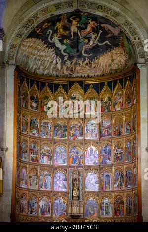 Retablo de la Catedral Vieja, Catedral de la Asunción de la Virgen, Catedral vieja, Salamanca, Comunidad Autónoma de Castilla y León, Spanien. Stockfoto