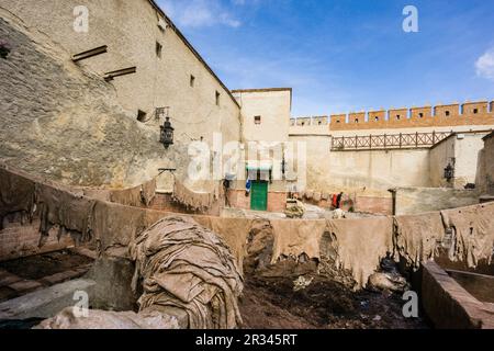 Tenetia, Medina de Tetuán, Patrimonio de la humanidad, Marruecos, Norte de Afrika, continente Africano. Stockfoto