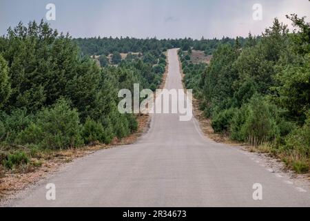 Sierra Solorio, Soria, Comunidad Autónoma de Castilla y León, Spanien, Europa. Stockfoto