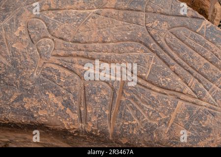 petroglyph, Ait Ouazik Rock Depot, spätneolithisch, Marokko, Afrika. Stockfoto