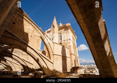 Pinaculos, Catedral de Mallorca, siglo XIII, Monumento histórico - artístico, Palma, Mallorca, Balearen, Spanien, Europa. Stockfoto