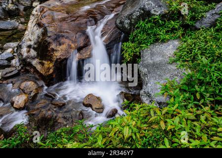 Toktok. Sagarmatha Nationalpark, Khumbu Himal, Nepal, Asien. Stockfoto