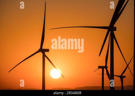 parque eólico en La Muela, Zaraoza, Aragón, Spanien, Europa. Stockfoto